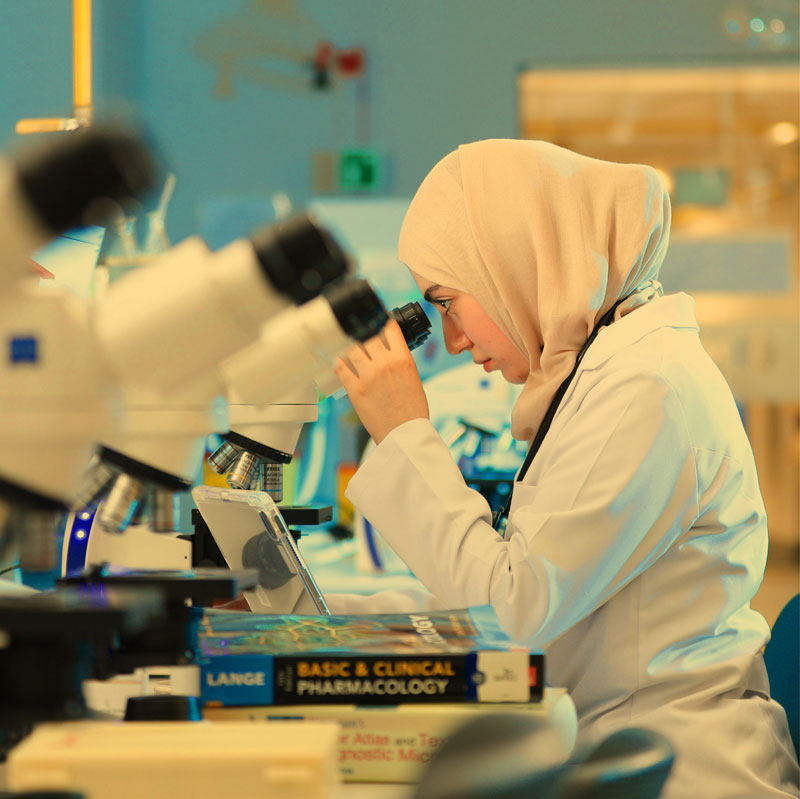 Connecting Research Beyond Borders